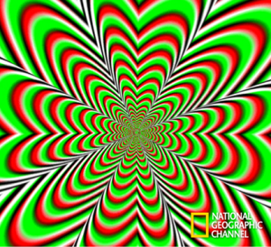 1375978_10151766288755415_1793538865_n