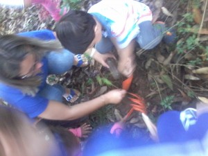 Após as dinâmicas na escola fomos até a beira do Rio Paranhana realizarmos um plantio de mudas de árvores