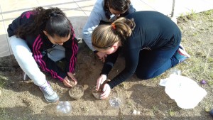 Após a caminhada de diagnóstico e levantamento dos problemas, os alunos confeccionaram as "Pedras no Caminho".