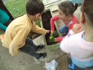 As crianças tornaram o pátio mais bonito plantando mudinhas de flores nas floreiras de entrada.