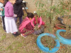 Tribo Com-Vida plantando e arrumando nosso jardim e horta.