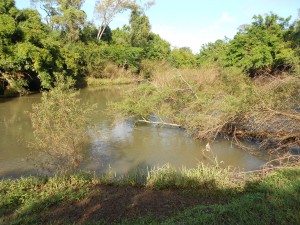 Rio Rolante