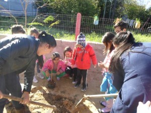 Alunos arborizando a escola.